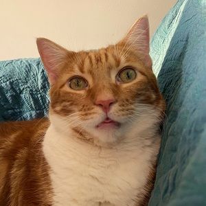 Meet your Posher, Heidi